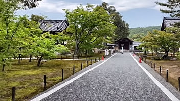 【ゴールドと温泉を京都で】